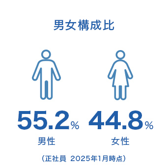 男女構成比（正社員）。男性55.2％、女性44.8％。2025年1月時点